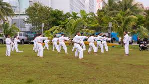 Image result for Beeches Martial Arts