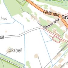 Attēlu rezultāti vaicājumam “Heyderia pusilla”