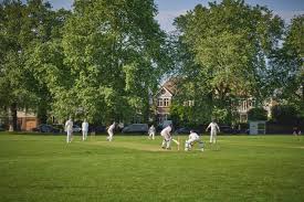 Image result for London Fields Cricket Club