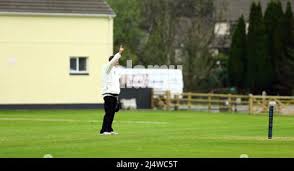 Image result for Bronwydd Cricket Club