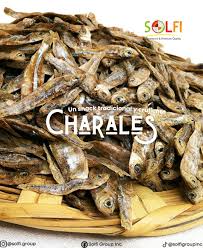 Attēlu rezultāti vaicājumam “Charales”