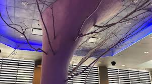 Image result for Totton Octopush Club