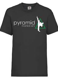 Image result for Pyramid martial arts