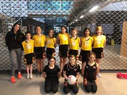 Image result for Huddersfield Giants Netball Club