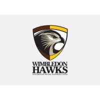 Image result for Wimbledon Hawks