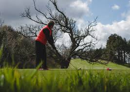 Image result for Bridge Of Weir & Ranfurly Bowling Club