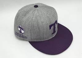 Image result for Tarleton Cricket Club