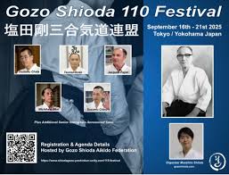 Image result for Goryukai Aikido Yoshinkan (Chichester)