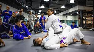 Image result for Intelligent Martial Arts