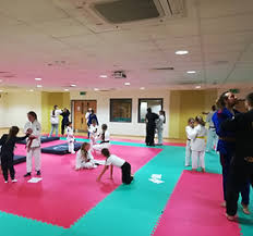 Image result for Llantrisant Tkd
