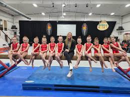 Image result for Biddick Sports College Community Gymnastics Club