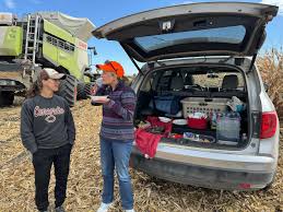 Attēlu rezultāti vaicājumam “Conardia compacta”