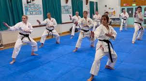 Image result for Windsor Karate Club