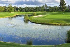 Image result for Aldwickbury Park Golf Club