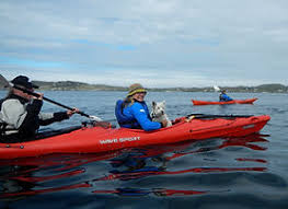 Image result for South Skye & Lochalsh Kayak Club