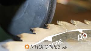 Картинки по запросу белку зажевало в диск