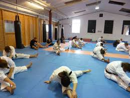 Image result for Imperial College Shorinji Kempo Society