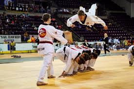 Image result for Taekwondo Athletes Program USA