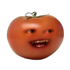 Afbeeldingsresultaat voor oranje van goeienbier tomato