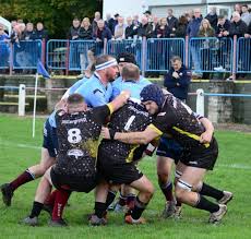 Image result for Wilmslow Rugby Union Football Club