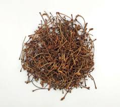 Attēlu rezultāti vaicājumam “Cerasus leaf”