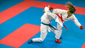 Image result for COMBAT TAEKWONDO