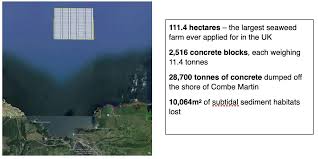 Image result for Combe Martin A F C