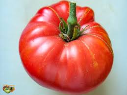 Afbeeldingsresultaat voor Pink Brandywine tomato