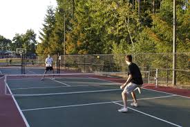 Image result for 1st New Forest Pickleball Club