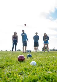 Image result for Meadow Sports Badminton Club