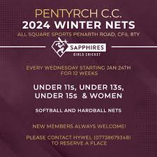 Image result for Pentyrch Cricket Club