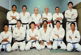 Image result for Brazilian-martial arts