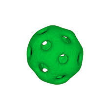 Attēlu rezultāti vaicājumam “Arenaria serpyllifolia leaf”