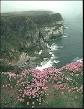 Northern Ireland - County Antrim