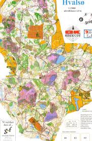 Image result for roskilde 2007