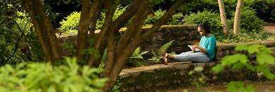 Image result for Reading University Octopush Club