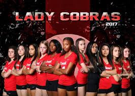 Image result for Cheltenham Cobras Volleyball Club