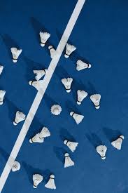 Image result for Pinebanks Badminton Club