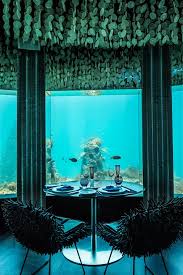 Image result for Seaham Sub Aqua Club