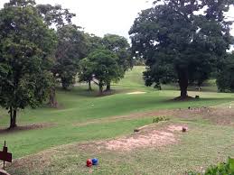 Image result for Brechin Golf Club