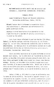 Attēlu rezultāti vaicājumam “Aphodius subterraneus”