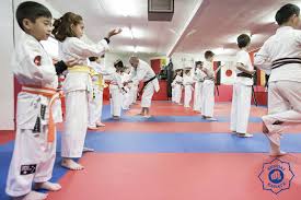 Image result for Sendai Kushiro Karate
