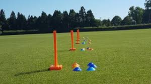 Image result for Buckhorn Weston Cricket Club