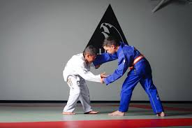 Image result for Reading World Ju-jitsu Club