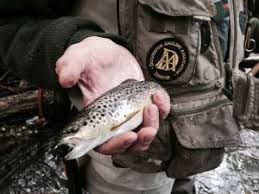 Image result for Dulverton Angling Association