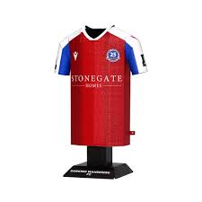 Image result for Dorking Football Club Limited