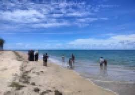 Image result for Erwadi