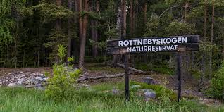 Attēlu rezultāti vaicājumam “Nothorhina punctata”