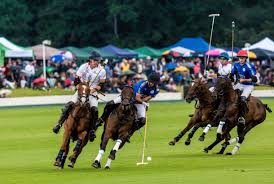 Image result for Cowdray Park Polo Club