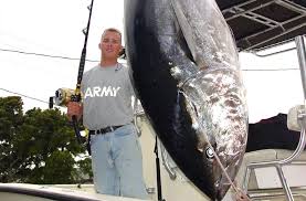 Image result for giant tuna